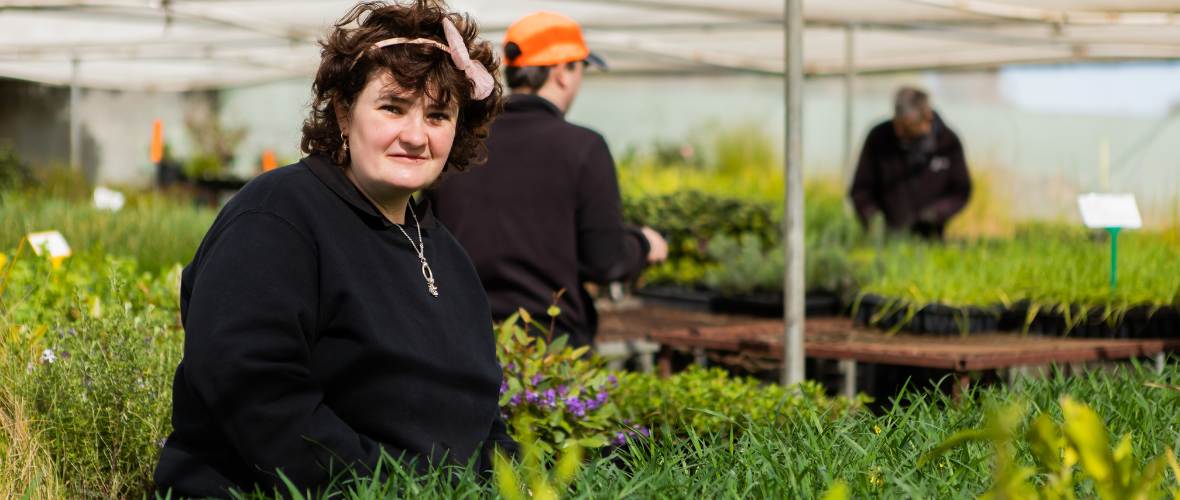 Team member looking at the growing plants.